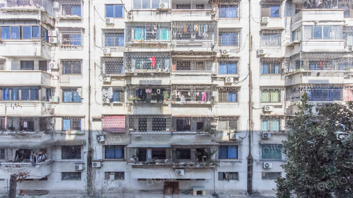 东圃中路外景图