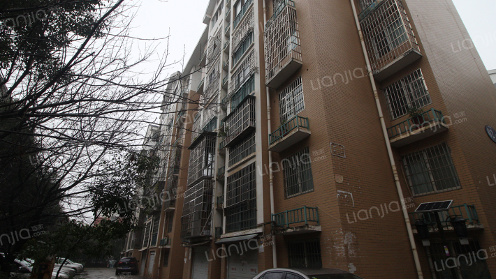 东岸锦城C区外景图