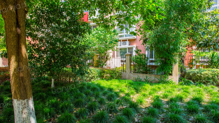 百乐公寓(惠南)外景图