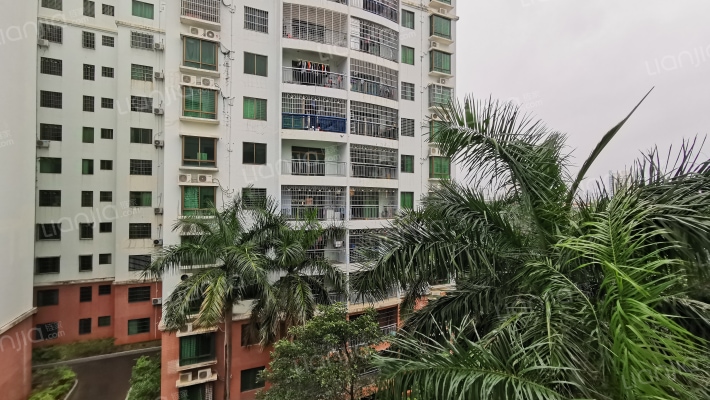 千鸿茂碧海绿园外景图