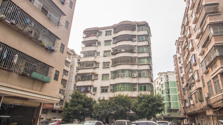 光明安全小区外景图