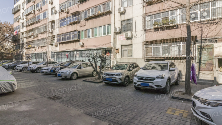 省工艺美术学校家属院外景图