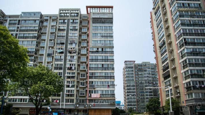 润洋中大街外景图