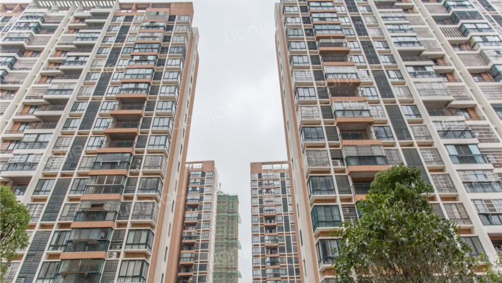 博雅花苑外景图