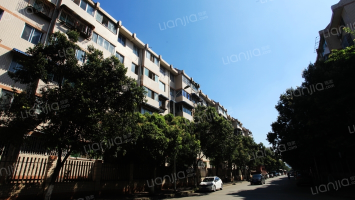 金科苑中街106号外景图