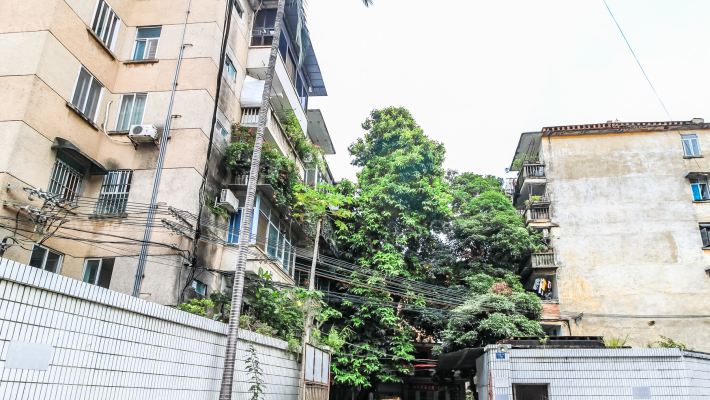 七星路一巷176号院外景图