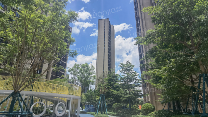 环东金茂悦外景图