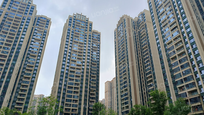 远大中央公园四期外景图