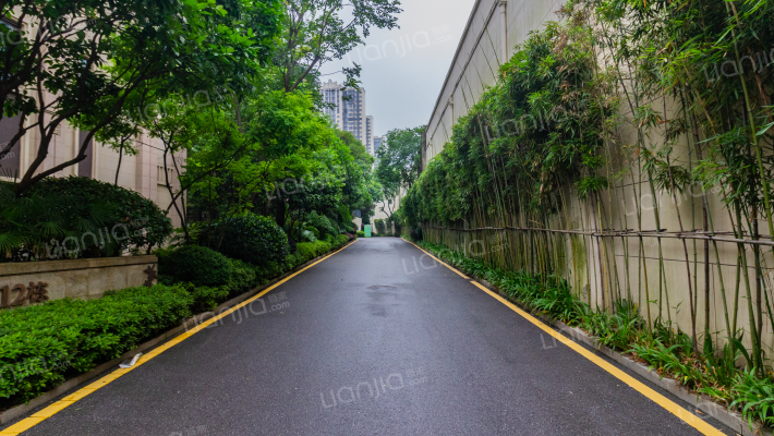 龙湖湘风原著A2区外景图