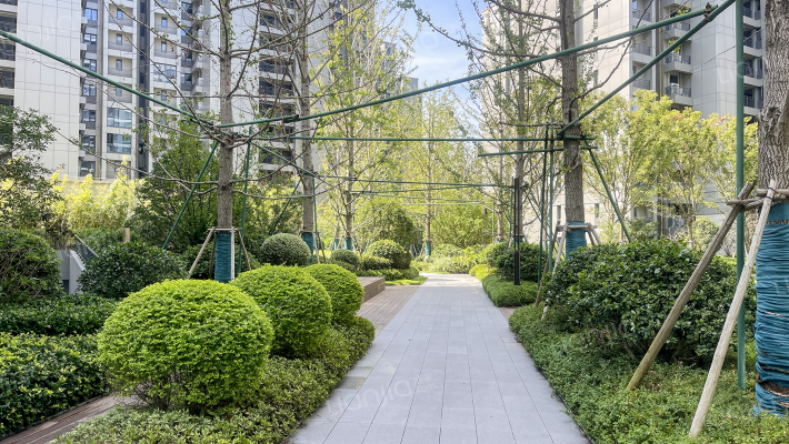 新城江湾云筑外景图