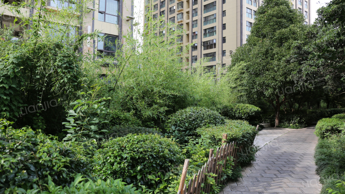 汇都国际外景图