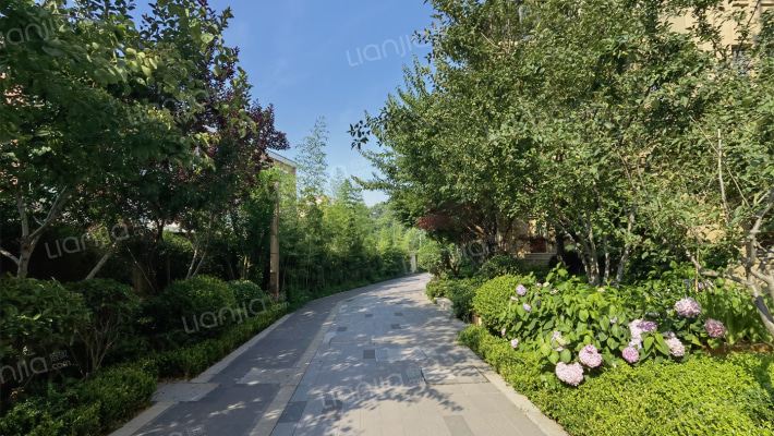 龙湖天璞外景图