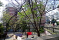 首义新村21