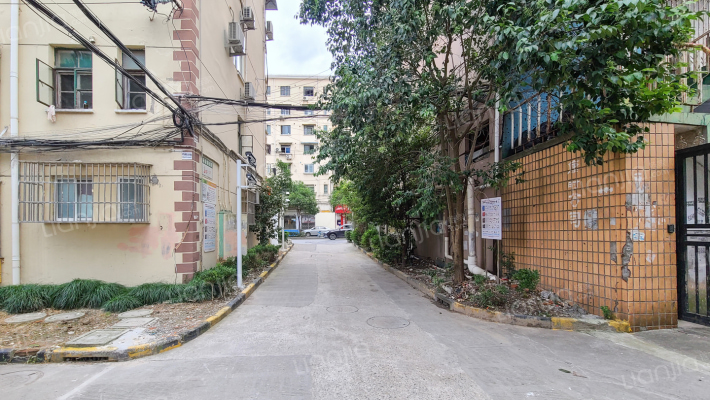 杨新路80弄外景图