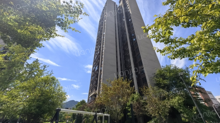 远洋朗基枫桦四季外景图