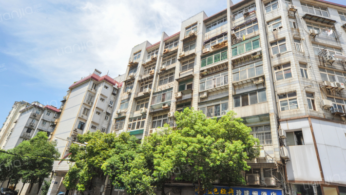 桃苑中路（38号）征费局宿舍外景图