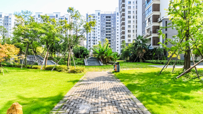 海宁道之科技外景图