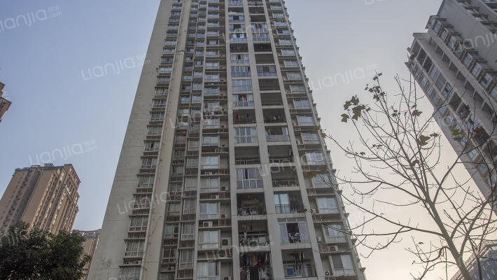 园丁梦苑外景图