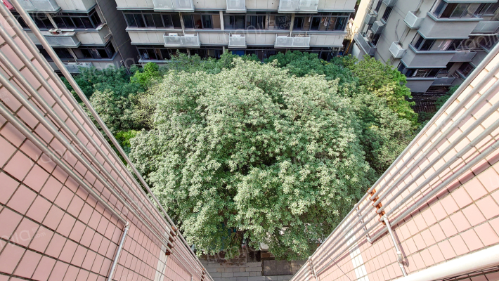 桂枝里新村外景图