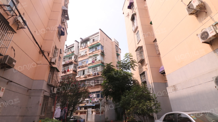 三牌楼小区西柏果园外景图