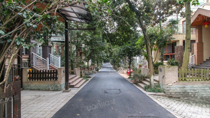 高山流水外景图