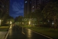 绿地海森林41