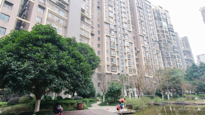 湘诚嘉园外景图