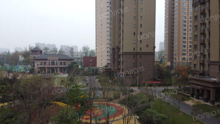 梧桐年华外景图