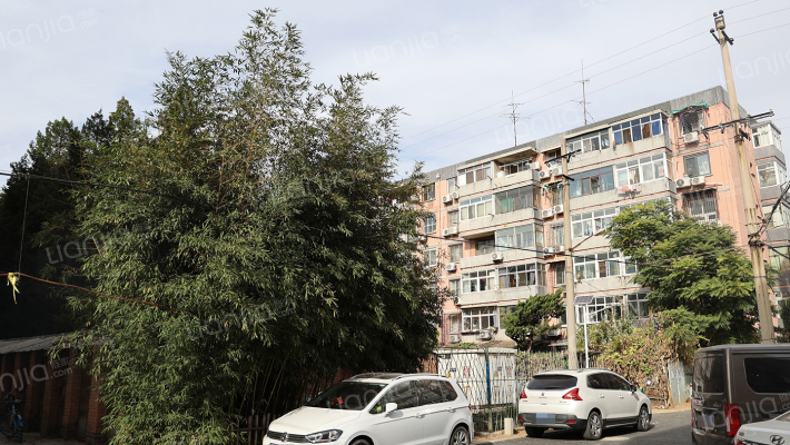 维尼纶二生活区外景图