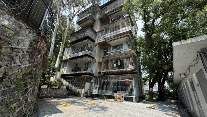 爱国路9号外景图