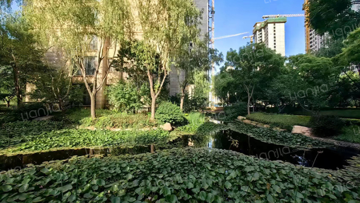 星河湾2号园外景图