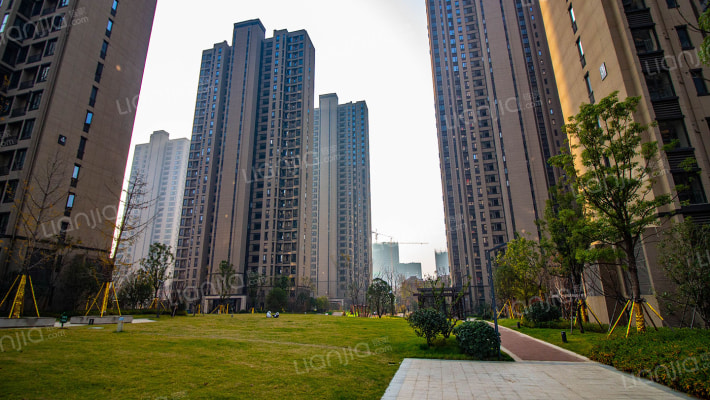 绿地国际理想城四期外景图