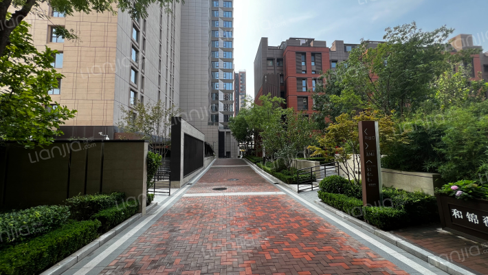 和锦薇棠外景图