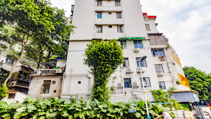 文化局宿舍(天河区)外景图