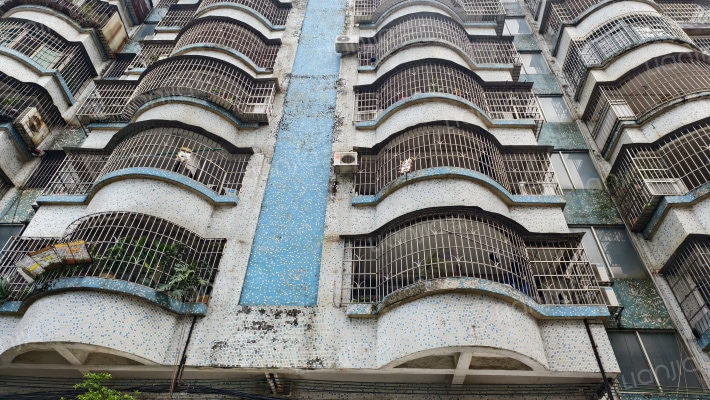 东门路(莲花山)外景图