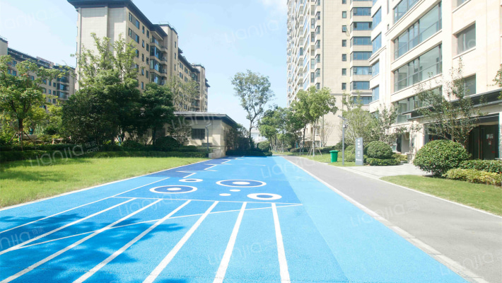 城投凤凰汇天辰府外景图