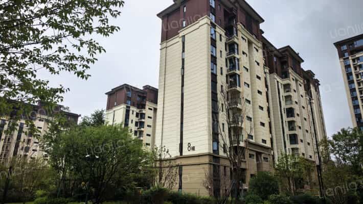 金科集美星宸外景图