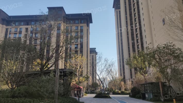 中南紫云集外景图