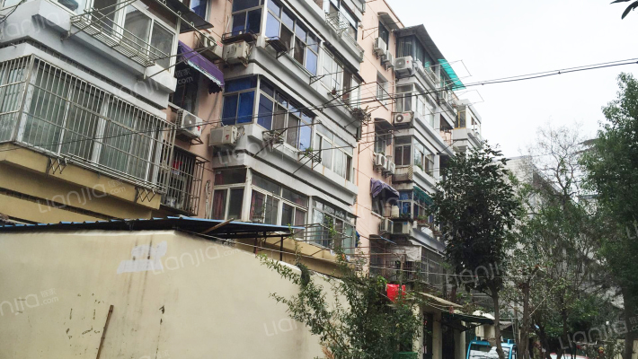 紫竹林3号外景图