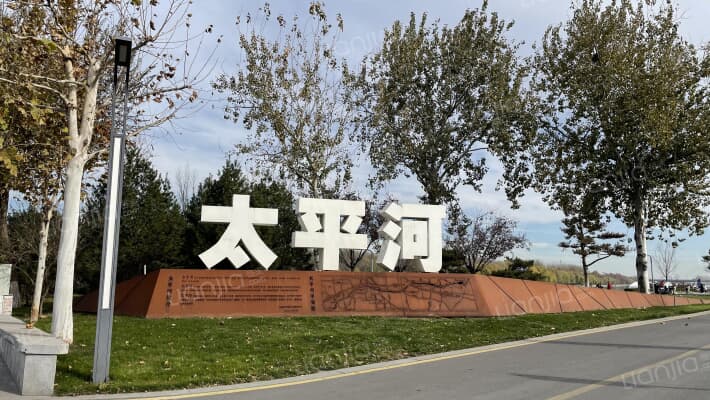 外滩森林外景图