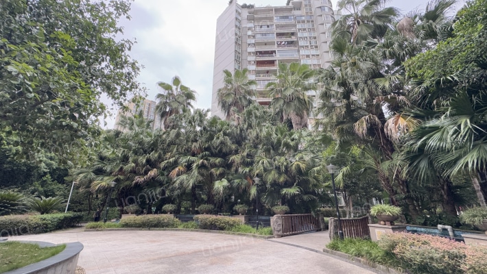 学府小区外景图