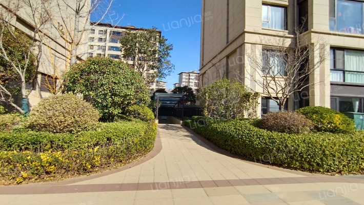 楚河金茂府外景图