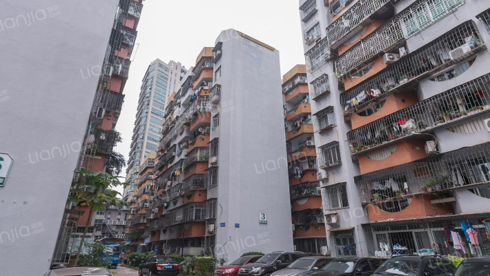 金田花园外景图