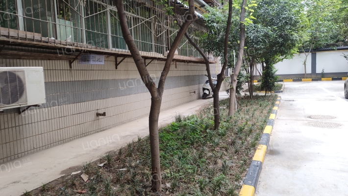 第二人民医院家属院外景图