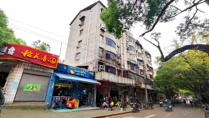 农业局自建房外景图