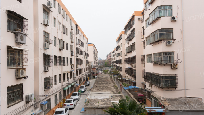 嘉泰花苑外景图