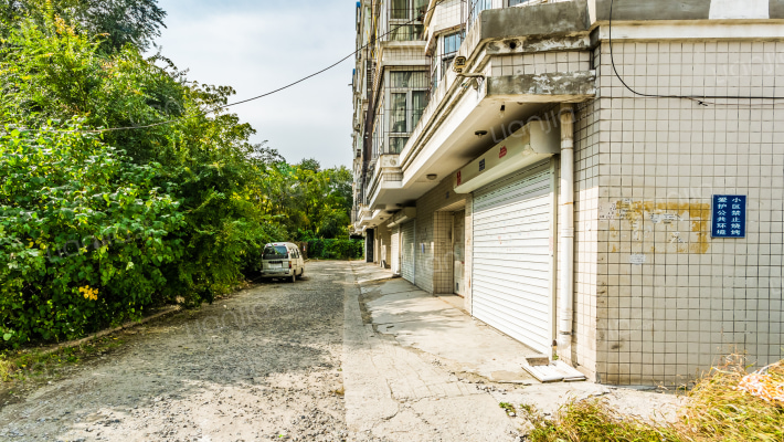 森林人家外景图