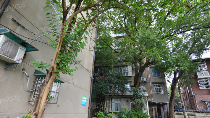 牛头山小区外景图