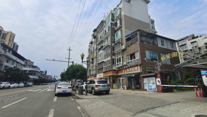 樱花阳光外景图