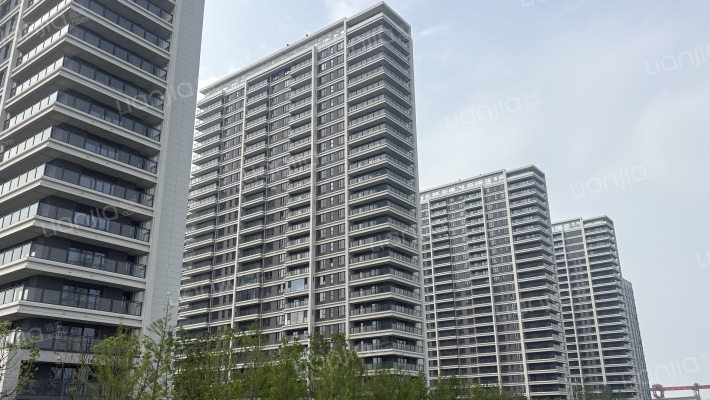和风雅信花园外景图